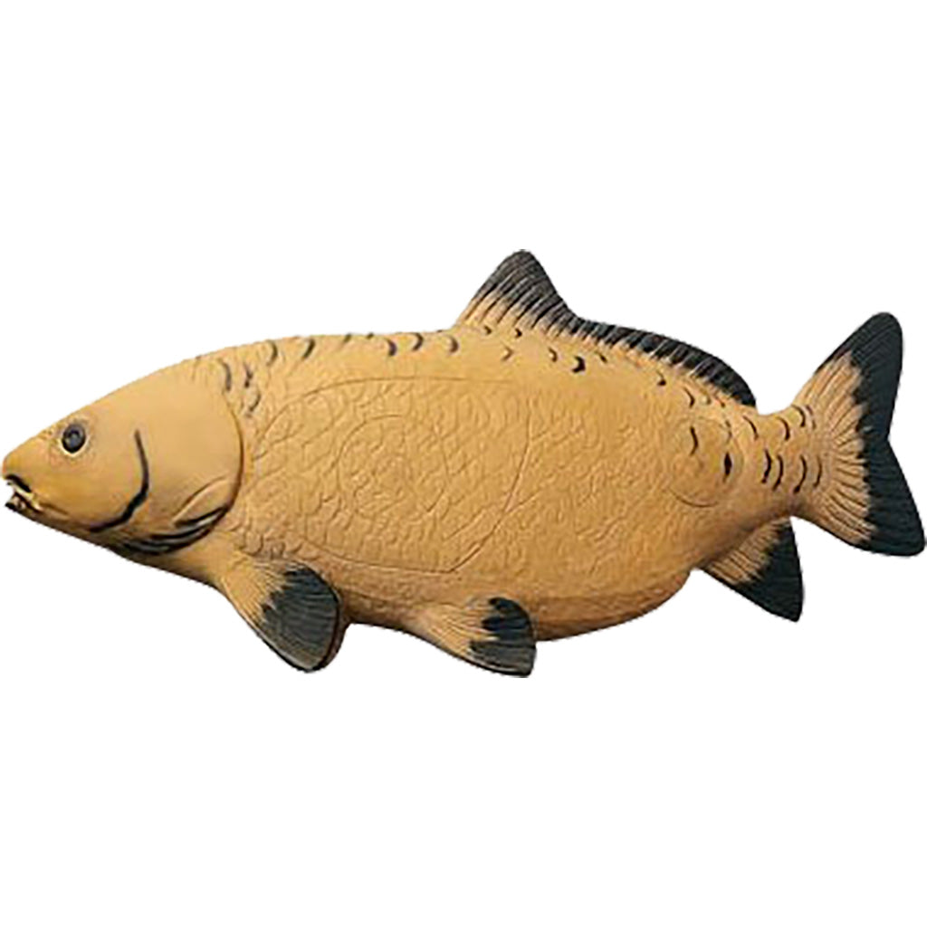 Rinehart Asian Carp Archery Target