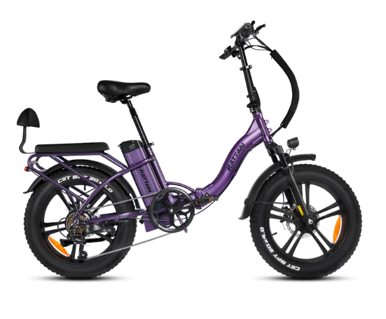 rattan  bike