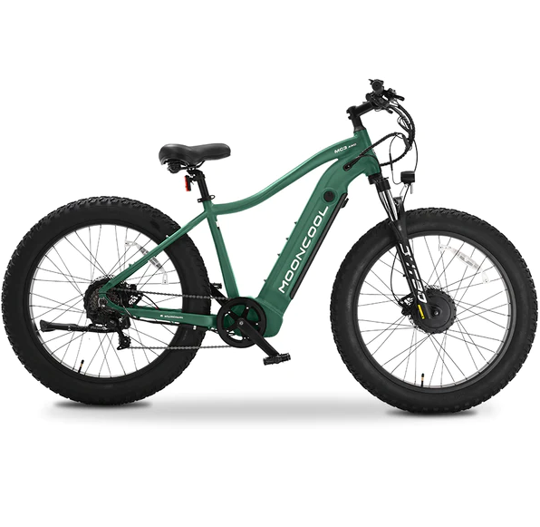 Moon Cool Electric Bike AWD