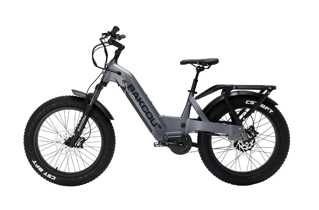 Bakcou Flatlander SD Electric Bike