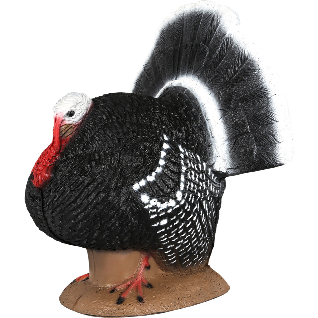 Strutter Turkey Archery Target