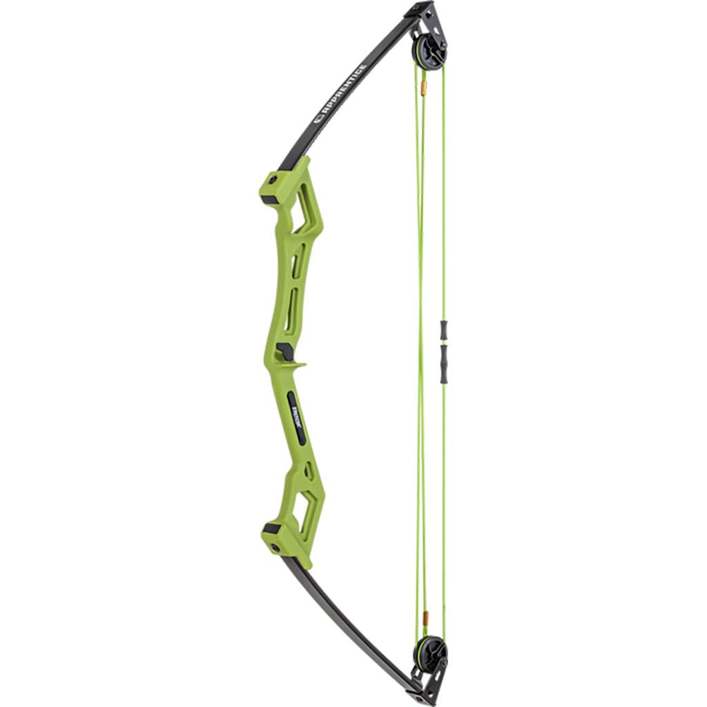 Bear Apprentice Bow Set  RH