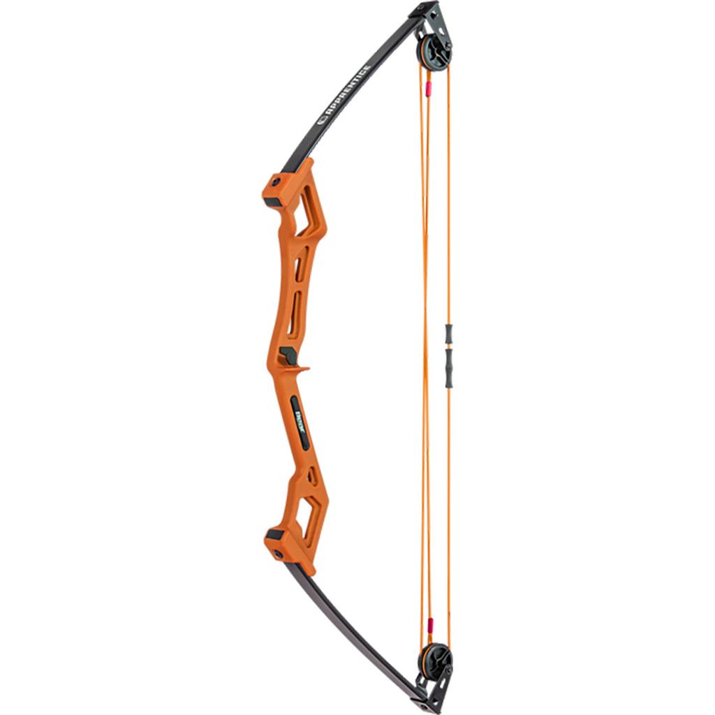 Bear Apprentice Bow Set  RH