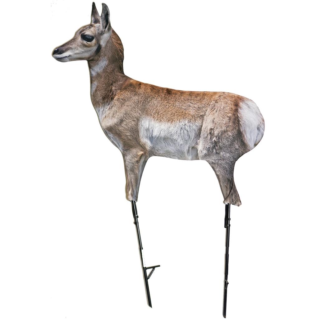 Montana Decoy Antelope Fawn