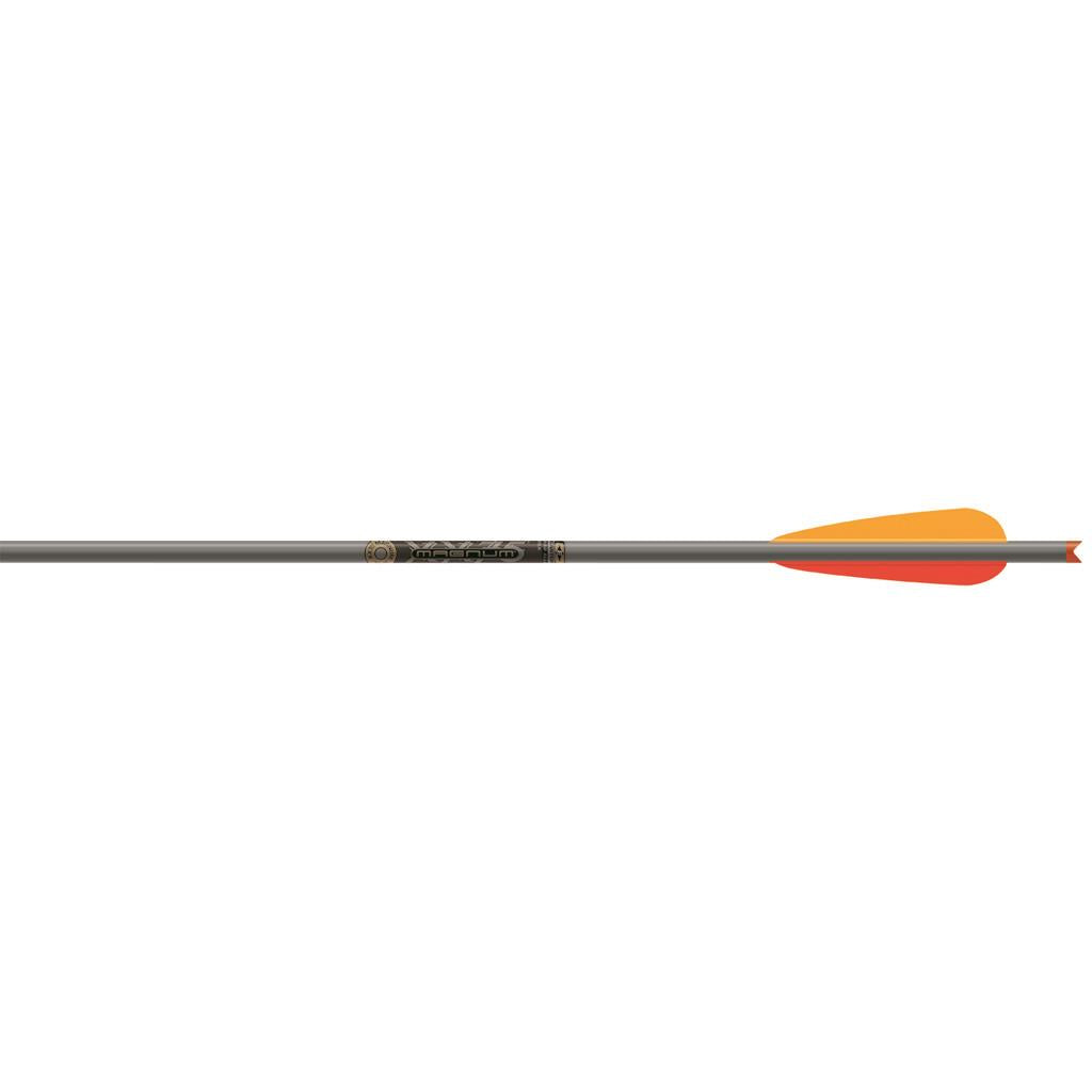 Easton XX75 Magnum Bolts 2219 Moon Nock 22 in. 6 pk.