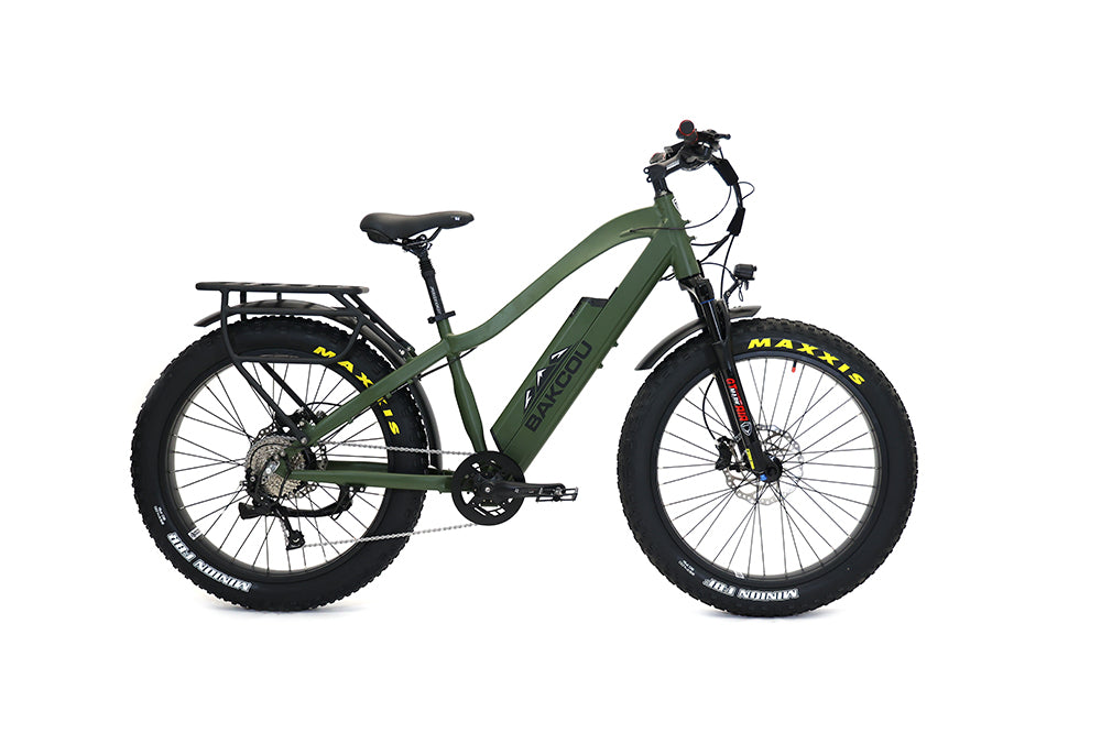 Bakcou flatlander bike
