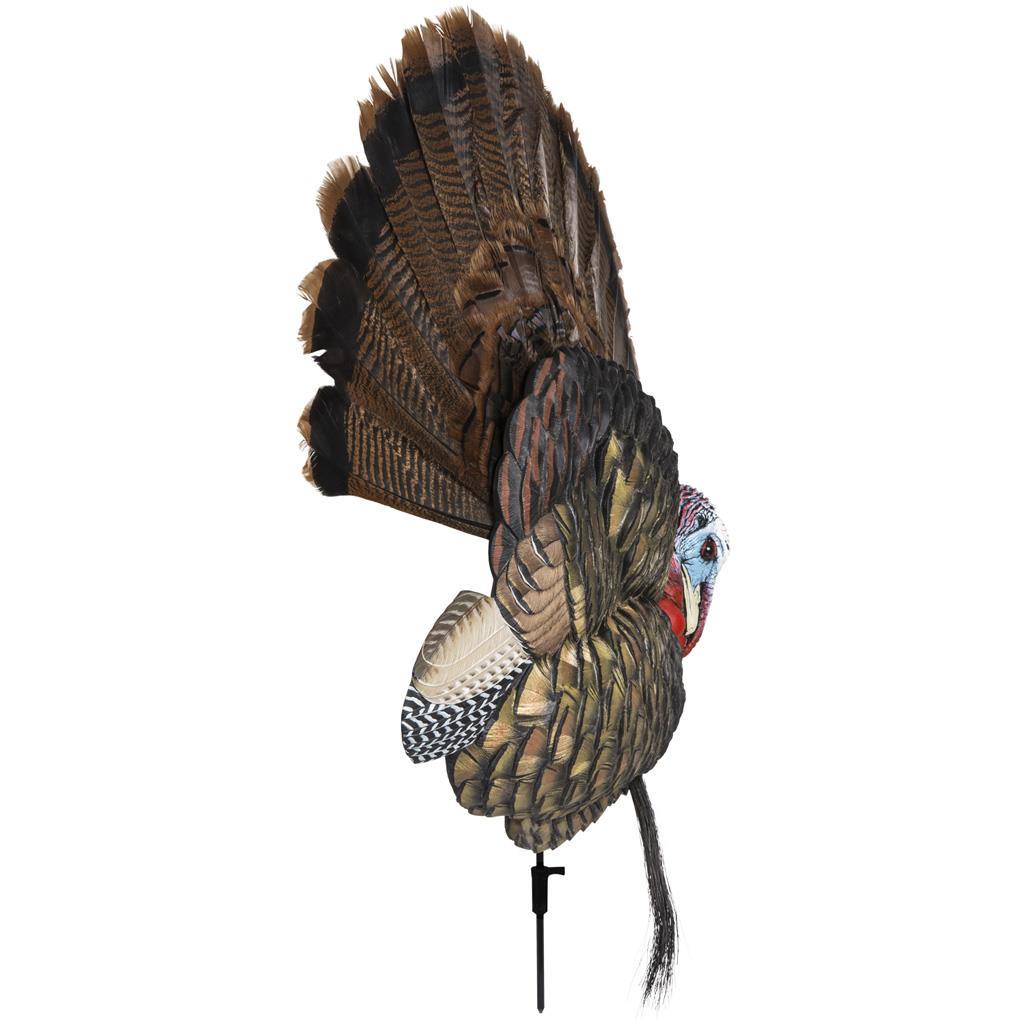 Avian X Trophy Tom Turkey Decoy