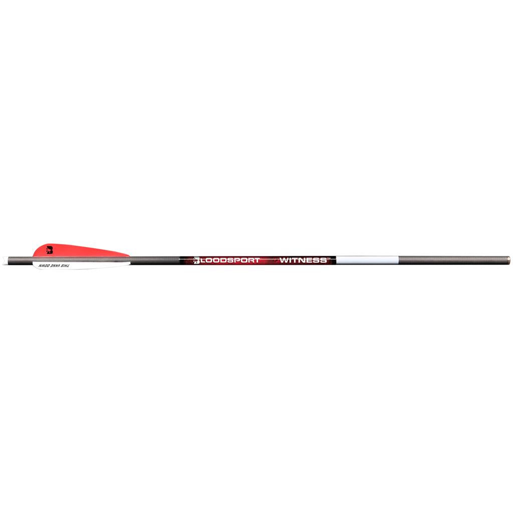 BloodSport Witness Crossbow Bolts 20 in. 4 in. Vanes 6 pk.