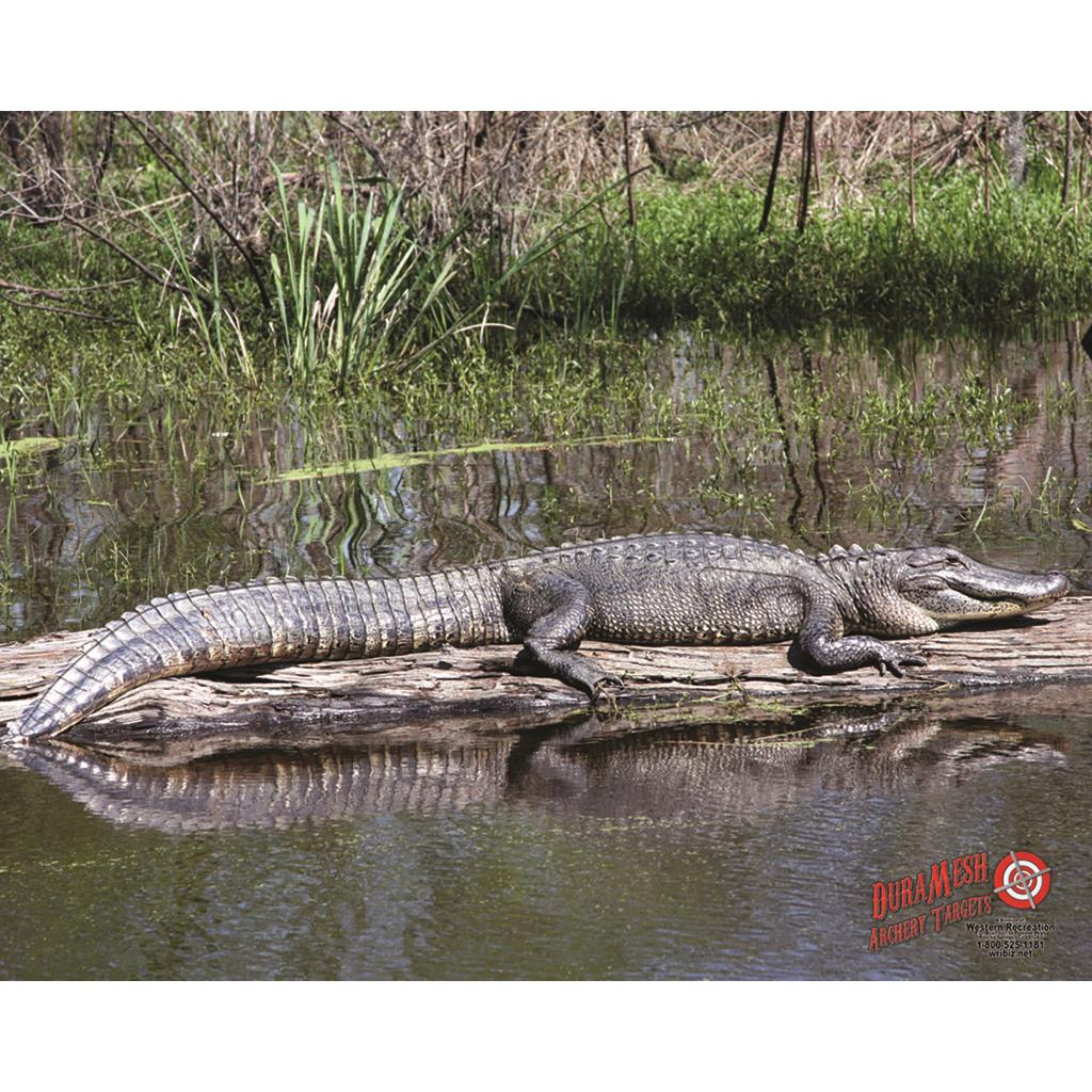 DuraMesh Archery Target Alligator 25 in. x 32 in.