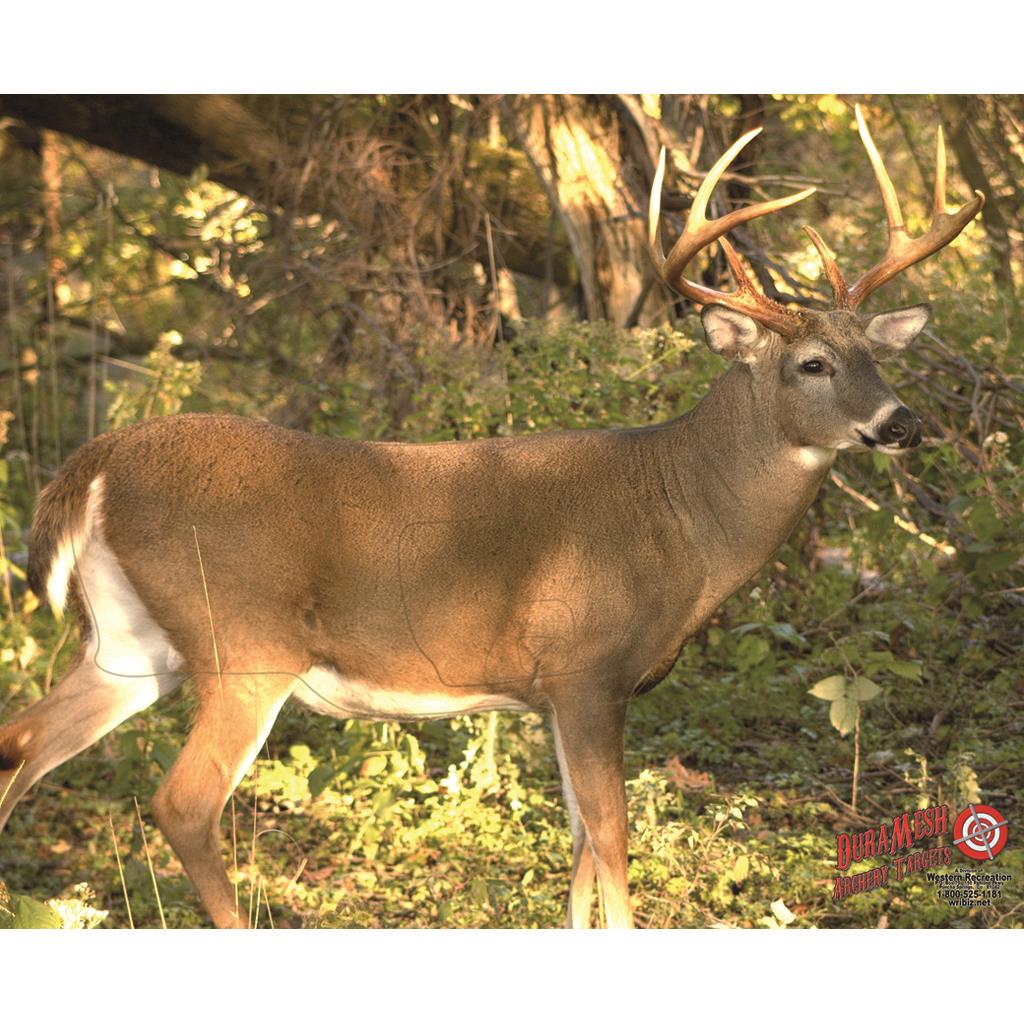 DuraMesh Archery Target Whitetail 3 25 in. x 32 in.