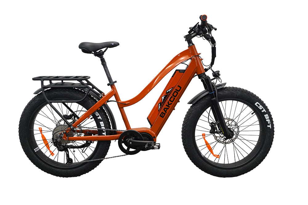 bakcou mule bike