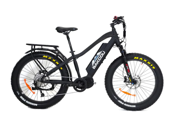 Bakcou mule bike